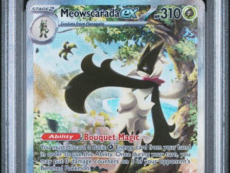 PSA 10 - Meowscarada ex  - 256 193 Hot on Sale